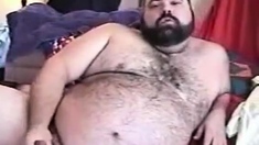 Hairy Chubby Bear Jo1