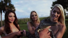 Hot blonde lesbian babes touched guys big aligator